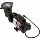 Waterway Above Ground Pools Two-Speed Pool Pumps