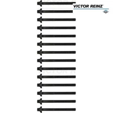Cylinder Head Bolt Set Victor Reinz 14-32004-01 for BMW