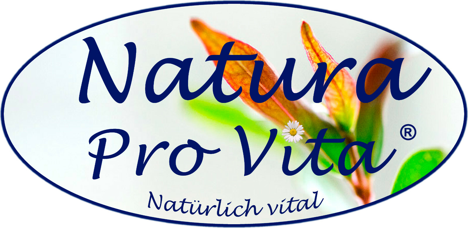 Bild 8 von 10