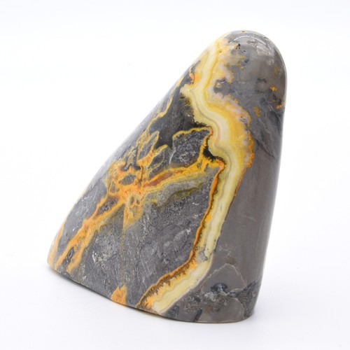 Bumblebee Jasper Freeform - Imagen 2 de 5