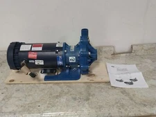 Finish Thompson DB11P-8P-NS-M517 3 HP 3450 RPM 208-230/460V Magnetic Drive Pump