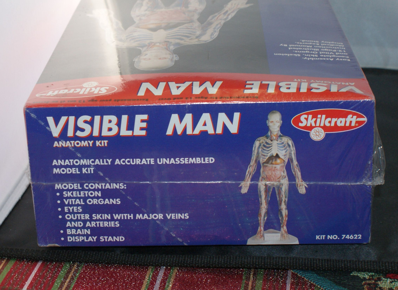 誠実 希少 Skil Craft Visible Woman Anatomy Kit | ccfl.ie