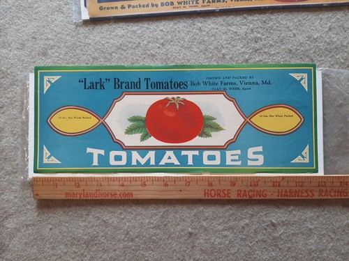 Vintage Tomate Blechdose Etiketten Ton Webb & Bob weiß Bauernhöfe Wien MD Konservenfabrik - Bild 7 von 12