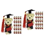  2 Pack Bear Adornments for Bouquet Tiny Stuffed Bears Graduation