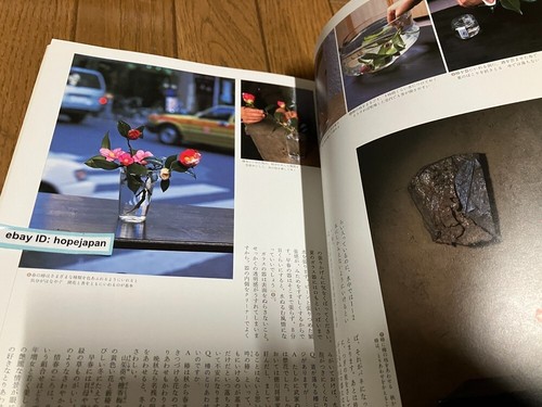 Ikebana Toshiro Kawase The Records of Flowers in Four Seasons Book - Picture 5 of 8