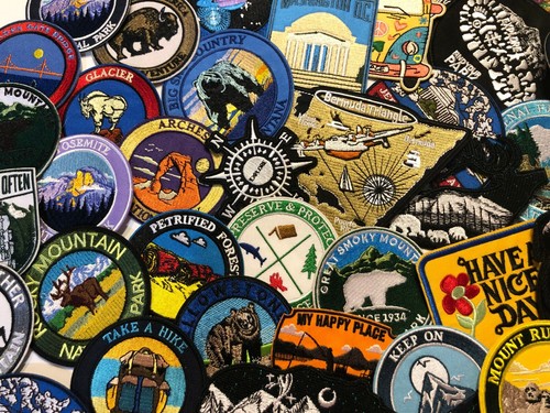 Alligator Patch Iron-On Embroidered Applique Nature Badge Souvenir, Everglades - Picture 7 of 12