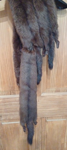 Nerzfell Stola Schal Halstuch Pelze von Margo Pelze - Bild 6 von 7