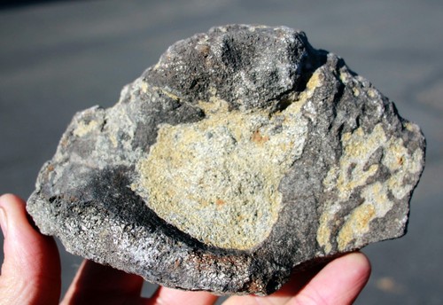 Hueso de hombro de dinosaurio • 1 lb. 12 oz. • Albany Co. Wyoming - Imagen 6 de 11