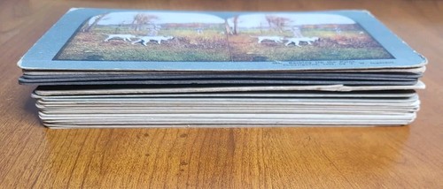 Stereoview Stereoscope Lot of 56 Prints. 24 Double Sided (48) & 8 Single Sided - Picture 10 of 10