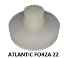 Gear IN Nylon for Engine Slicer Atlantic Forza 22 m.18-596 /22