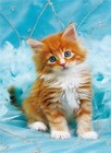 5902444093257 Mozaika diamentowa - Kotek imbirowy Norimpex