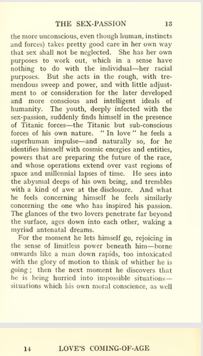 BOOKS Loves Coming Of Age A Series Of Papers On The Relation Of The Sexes 1923 - Picture 10 of 11