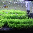 Bild 8 von 10