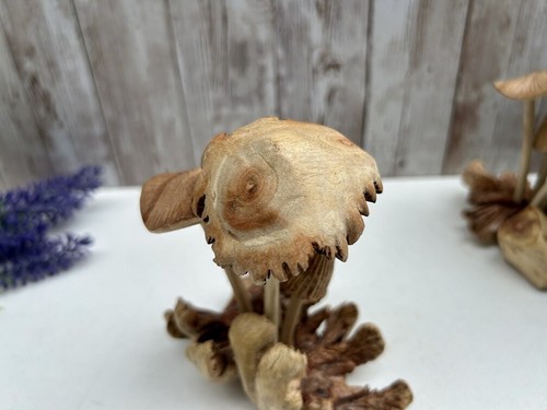 Assorted Mushrooms on Root Wooden Sculpture Ornament - Hand Crafted - Gift - Bild 15 von 15