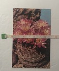 Picture 4 of 5