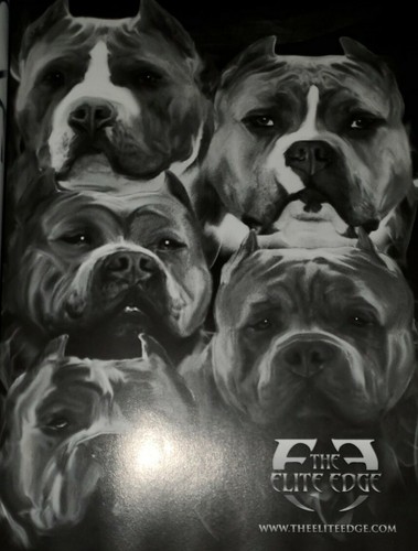 🐕Atomic Dogg Magazine pitbull dogs hiphop American Bully puppies breed rare🦮 - Picture 4 of 11