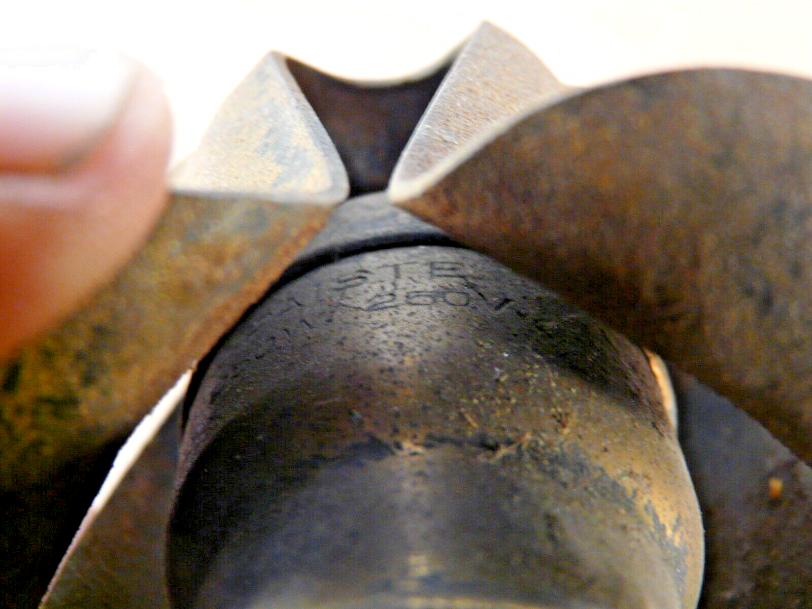 Picture 9 of 11