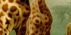 Bild 6 von 10