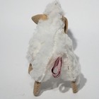 Bild 7 von 12