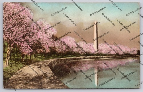 ANtique Postcard Washington Monument Cherry Blossoms Washington DC hand-colored