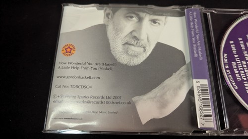 Gordon Haskell – How Wonderful You Are - Cd single - Picture 2 of 3