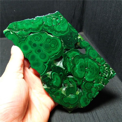 AAA 296.2G Natural Polished Malachite Pear Cabochon Gemstone Congo Africa YWD110 - Picture 8 of 12