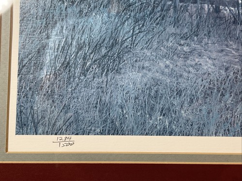 Grant Mcdonald “More Precious Than Oil” Signed Limited Edition 1284/1500 W/ COA - Picture 14 of 24