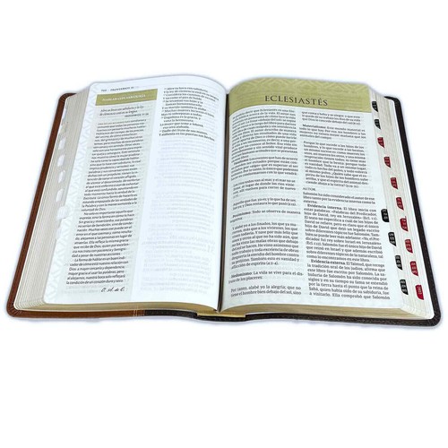 Biblia Pastoral Temática de Estudio Letra Grande RV1960 imit. café con indice - Imagen 2 de 4