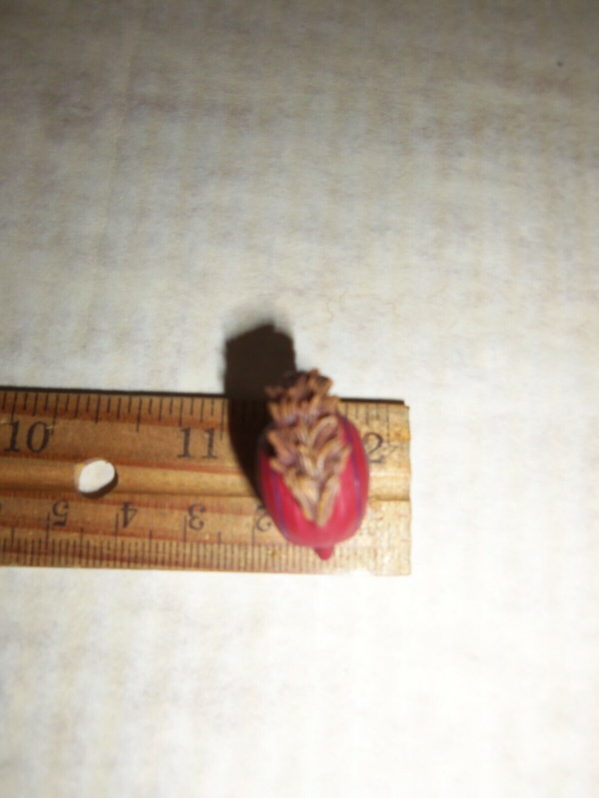 Foto 4 di 4