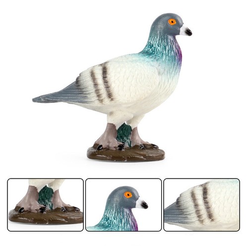 3Pcs Pigeon Birds Model Animal Figure Columba Educational Kids Toy Gift Decor - Picture 8 of 10