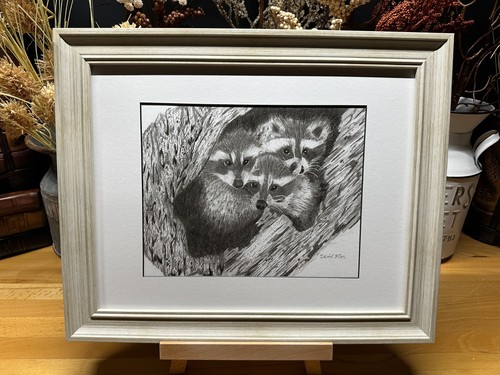 Dibujo de una familia de mapaches en nudo de árbol vida silvestre lápiz arte boceto imagen - Imagen 14 de 16