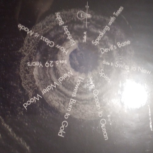 Tori Amos Ocean To Ocean vocal sorcery Double Album Vinyl LP 12" Decca 2021 NEW - Imagen 6 de 8