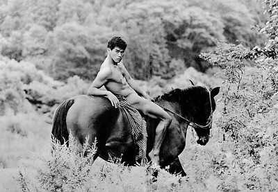 Tamotsu Yato Nude Japan Male on Horse Gay Cowboy - 17"x22" Fine Art