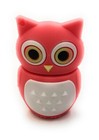 Owl Uhu Bird Waldkautz Large Eyes Pink Funny USB Stick Div HD