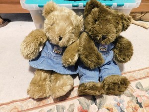 boy and girl teddy bears