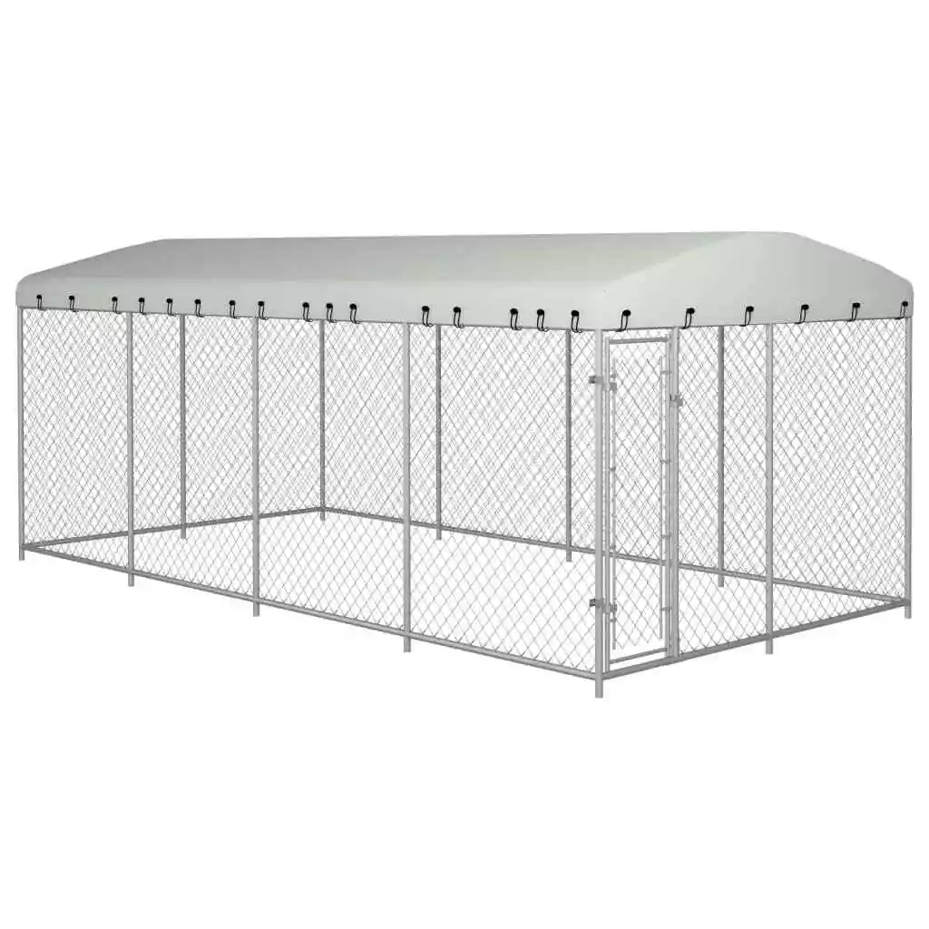 Outdoor dog kennel for multiple dogs 2025