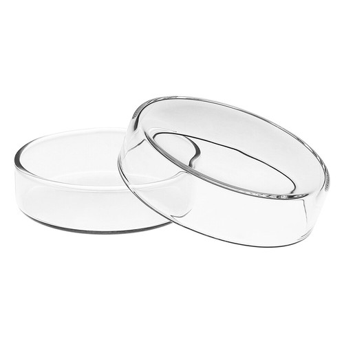 5 Pcs Plats de Pétri Haute offres Borosilicate avec Couvercle Culture Tissue
