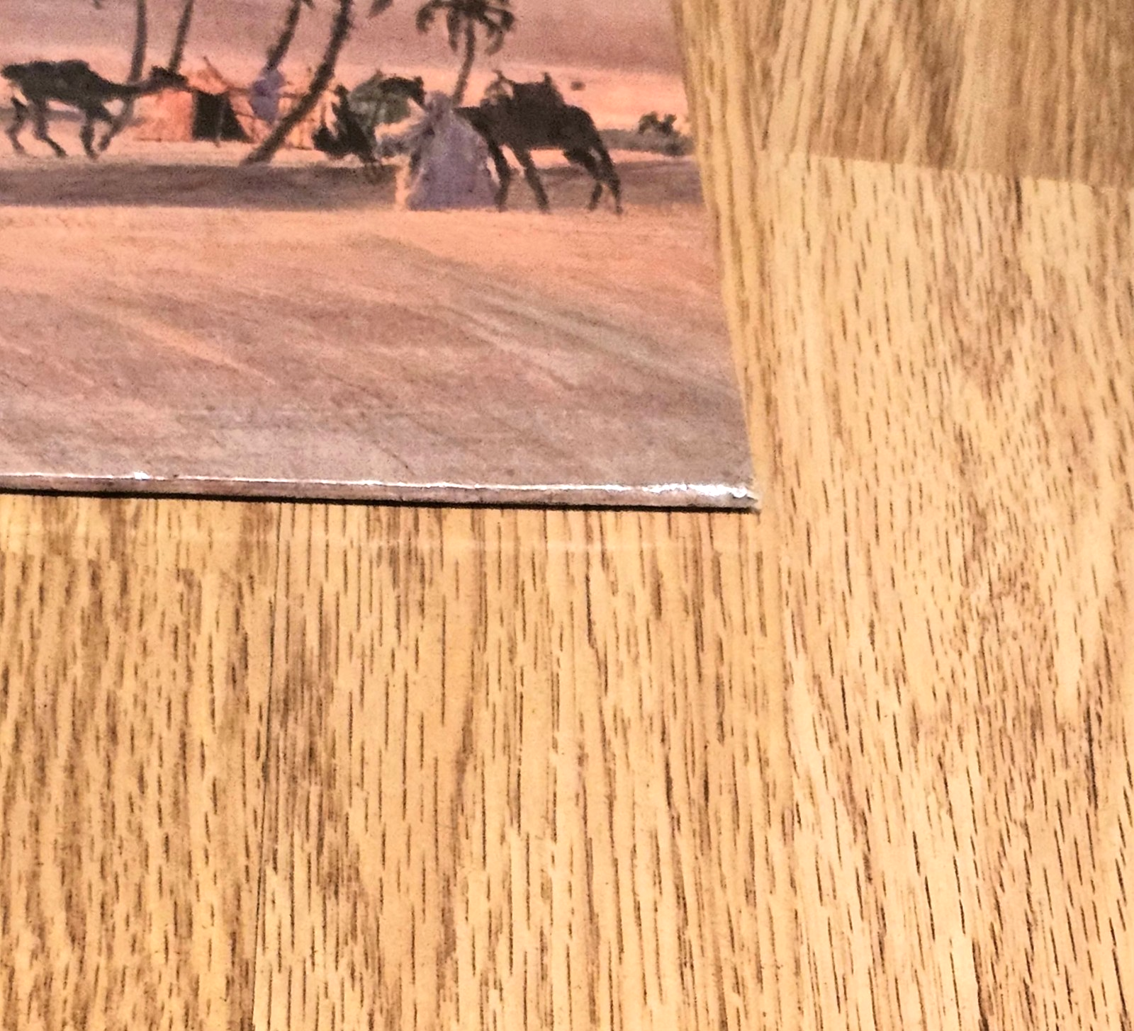Picture 6 of 19