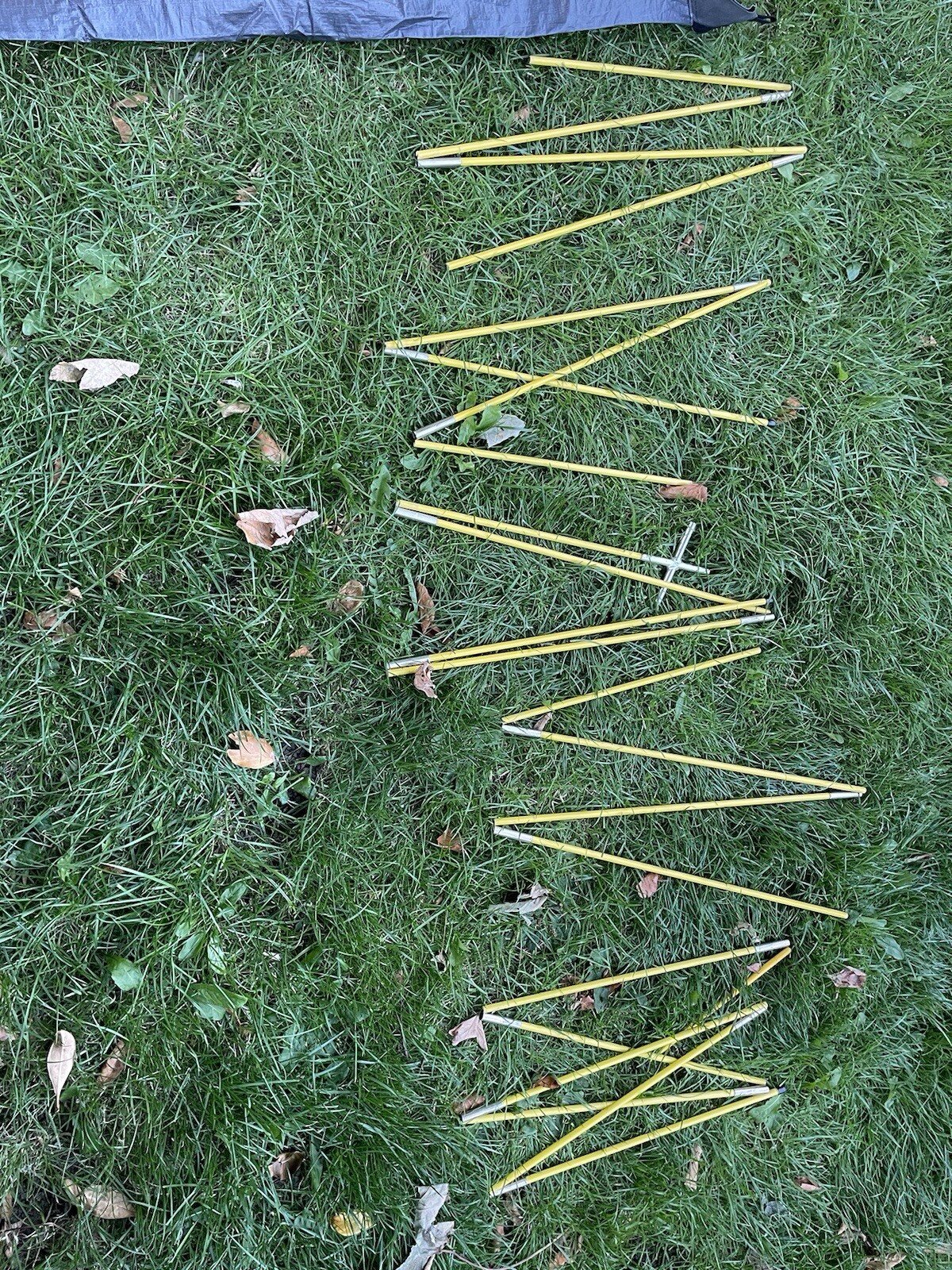 Picture 16 of 19