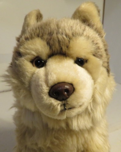 WEBKINZ Signature Timber Wolf Plush WKS1008 GANZ Rare Great Used No Code Stuffed - Picture 3 of 18