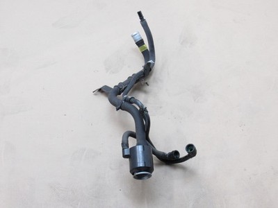 Kia Stinger GT1 2019 3.3L AWD Fuel Gas Tank Filler Beck Pipe Hose Tube 18-23 |