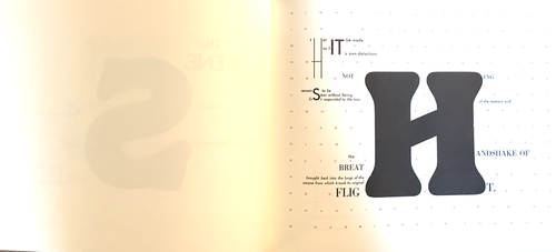 Fine1996 HC DJ Limited 2nd Edition of 500 copies Word Made Flesh Johanna Drucker - Picture 12 of 14