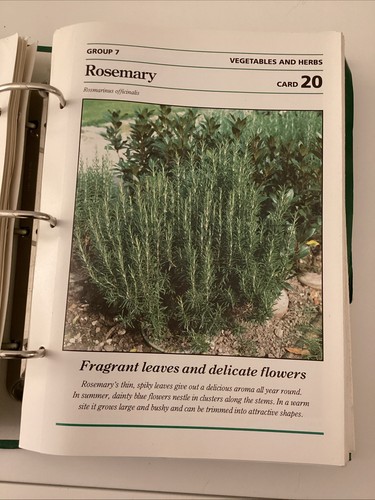 Gardening Made Easy Folder Book Gardening Ideas Professional 4 Binder Collection - Picture 21 of 24