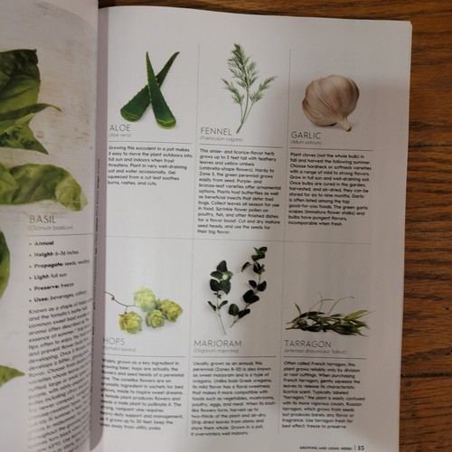 Growingand Using Herbs: Better Homes & Gardens Magazine 2025 ~ Grow Indoors - Foto 5 di 8