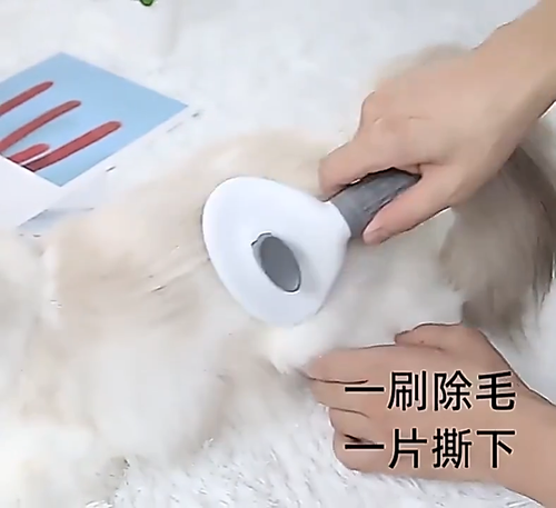 Hair Remover Pet Brush for Dog Cat Grooming Tool Self Cleaning Slicker Comb NEW - Video 1 of 1