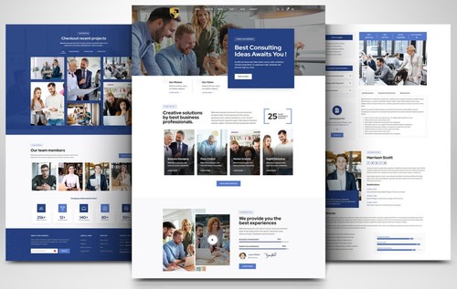 CUSTOM PROFESSIONAL WEBSITE FOR CONSULTING SERVICES AND AGENCIES WORDPRESS - Picture 7 of 8
