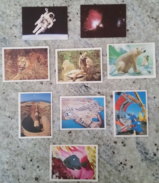 WEET BIX - MIXED LOT OF 1980's VINTAGE TRADING CARDS x 9 CARDS WEET BIX - MIXED LOT OF 1980's VINTAGE TRADING CARDS x 9 CARDS