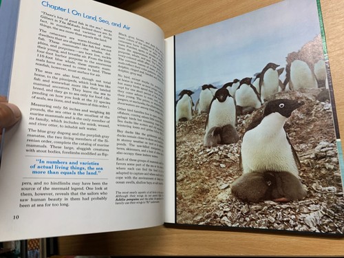 1975 "El mundo oceánico de los mamíferos Jacques Cousteau en el mar" libro de tapa dura (P4) - Imagen 6 de 14