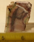 Picture 5 of 7