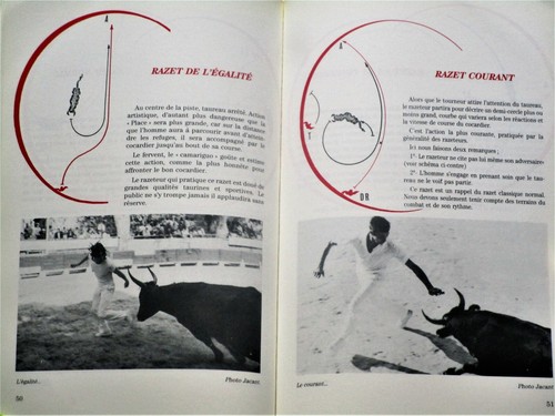 LES DOIGTS DE FER Course camarguaise Taureau cocardier Razeteur Tourneur - Imagen 9 de 12